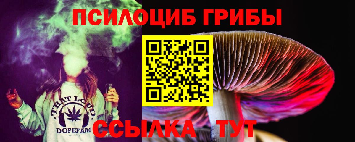 Галлюциногенные грибы мухоморы Гулькевичи